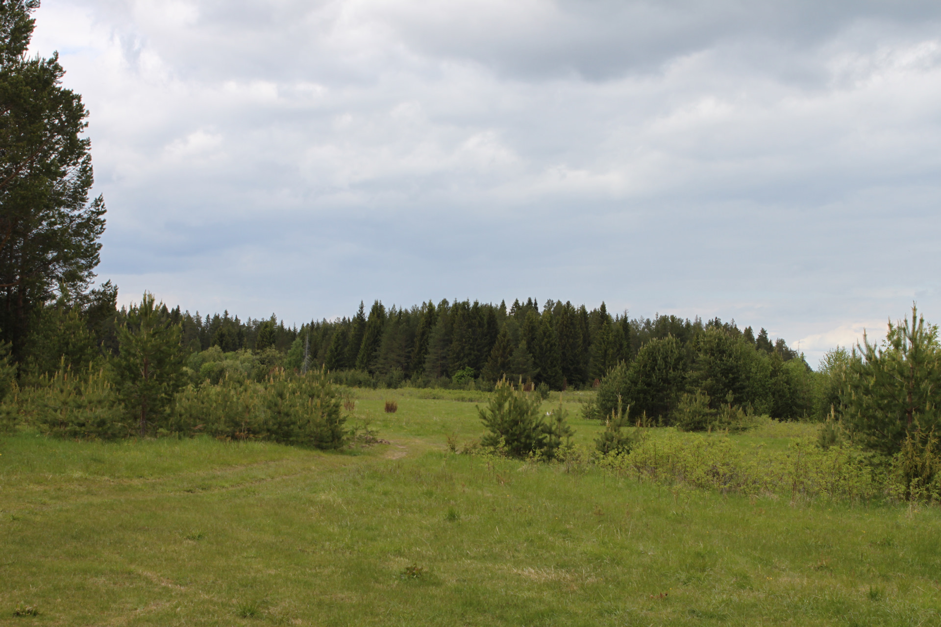 Логотипы радиостанций! — Skoda Rapid (1G), 1,6 л, 2018 года | автозвук ...