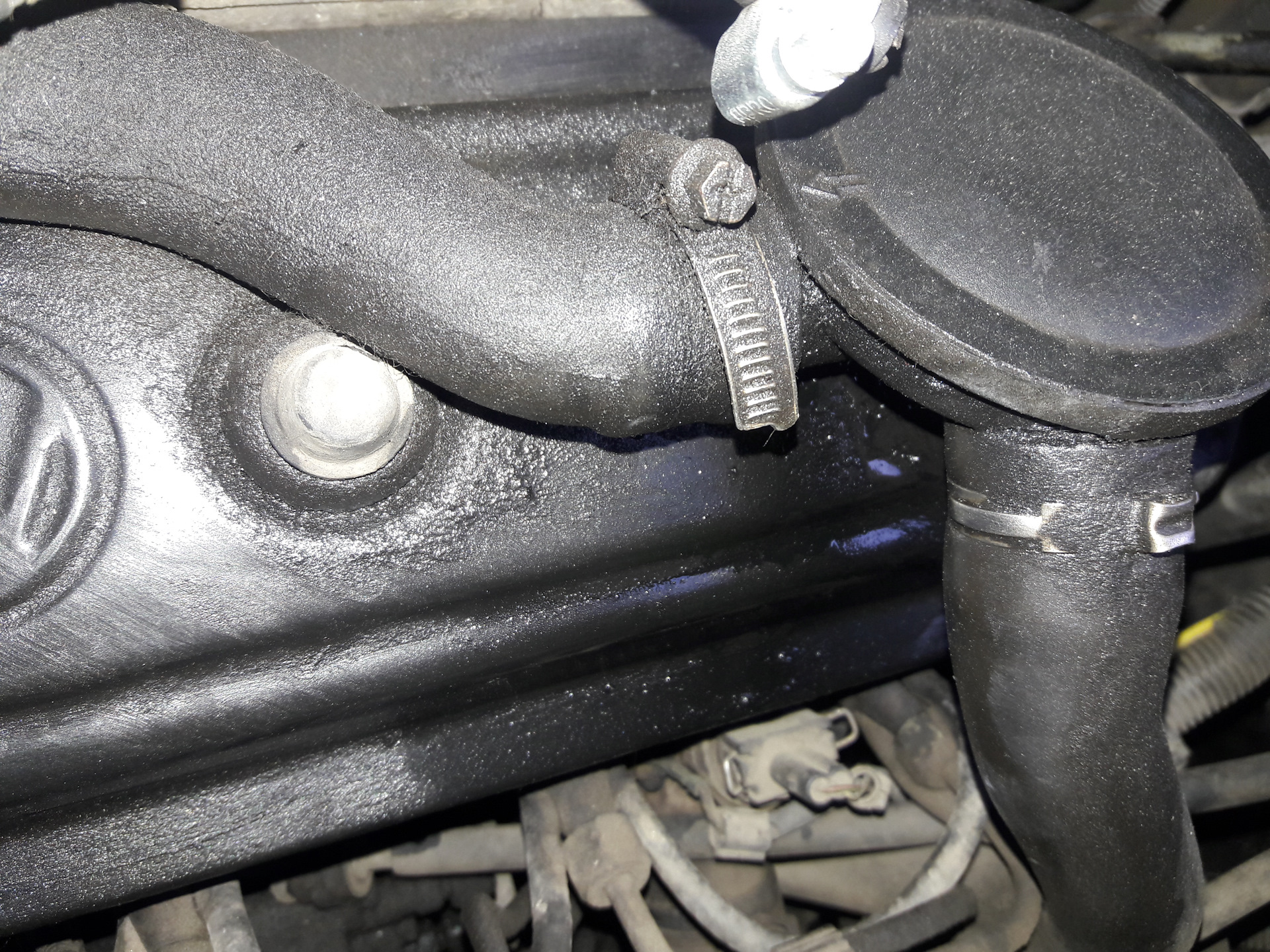 замена клапана картерных газов + замена прокладки — Volkswagen ...