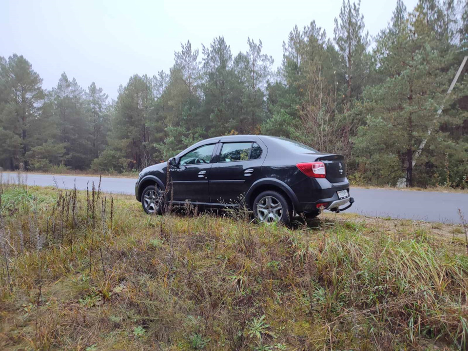 Фото в бортжурнале Renault Logan Stepway