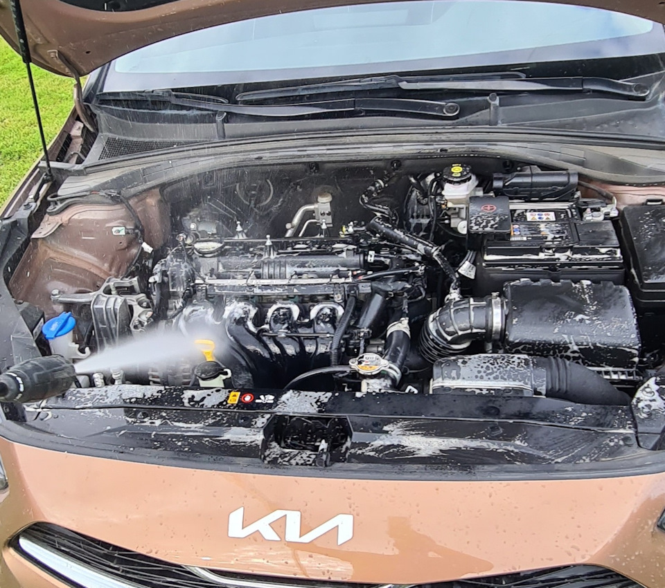 Фото в бортжурнале KIA Ceed SW (3G)