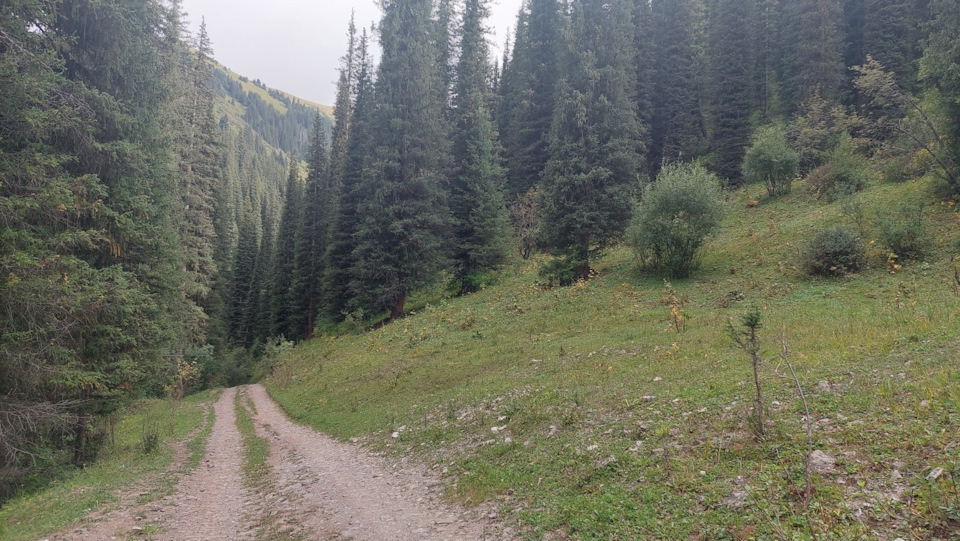 Фото в бортжурнале Mitsubishi Pajero (3G)