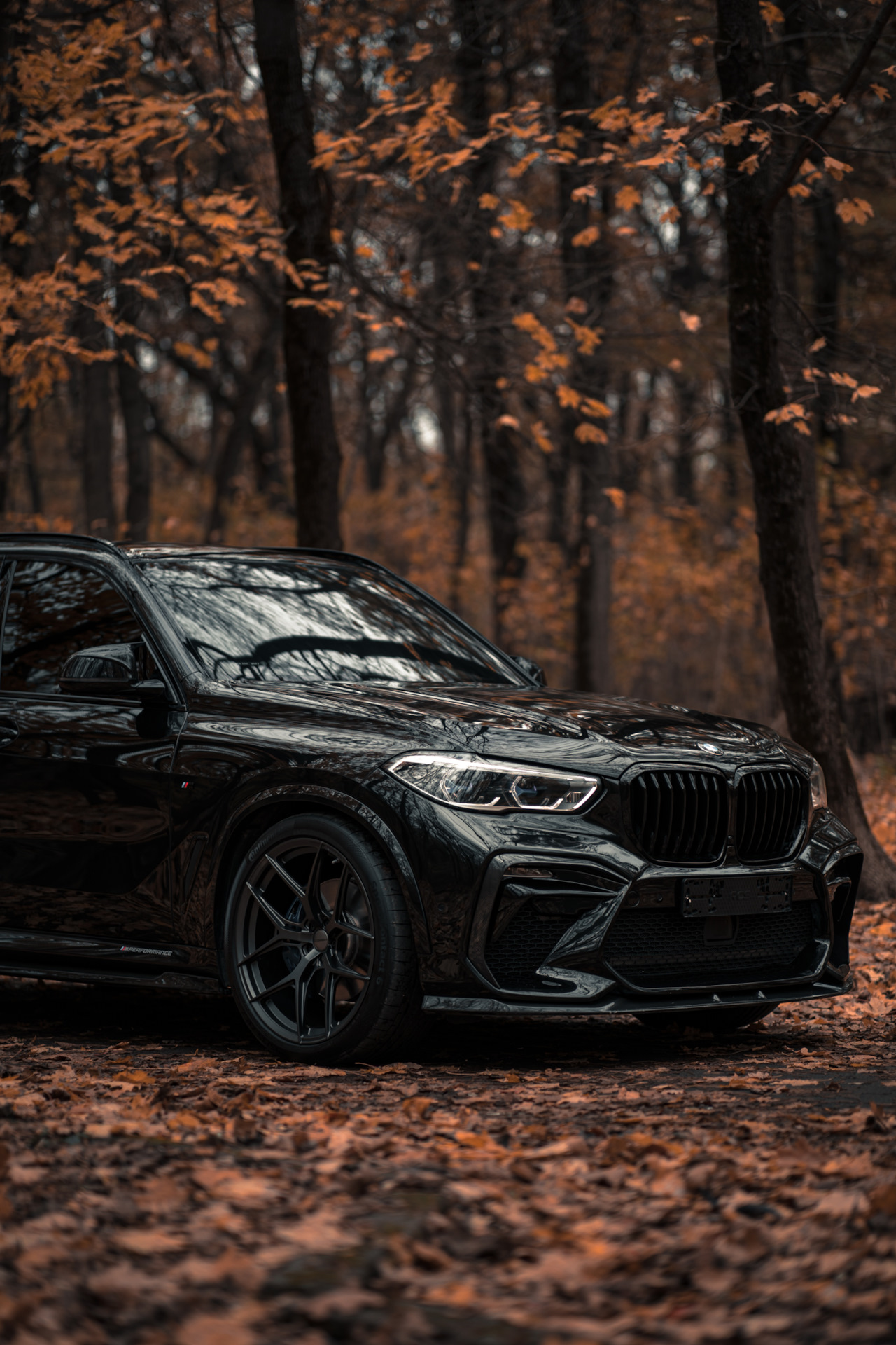 Осенний фотосет. Видео. — BMW X5 (G05), 3 л, 2020 года | фотография ...