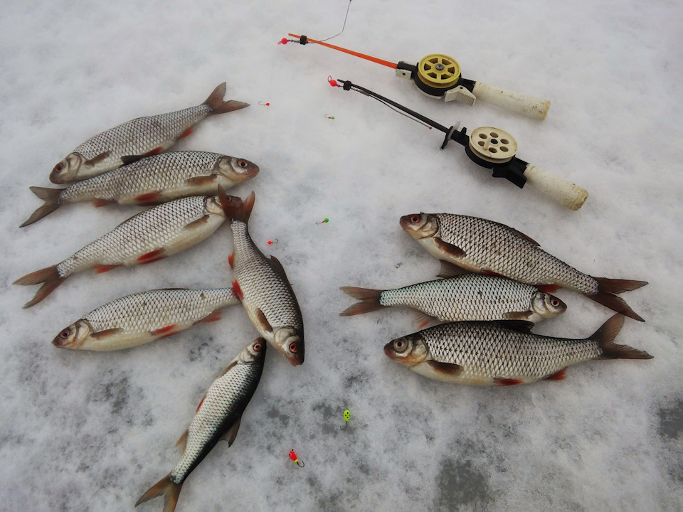 Фото в бортжурнале Chevrolet Niva (1G)