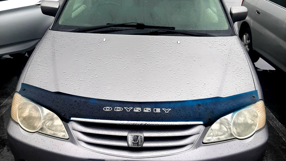 Honda Odyssey (2G) 2.3 бензиновый 2000 | на DRIVE2