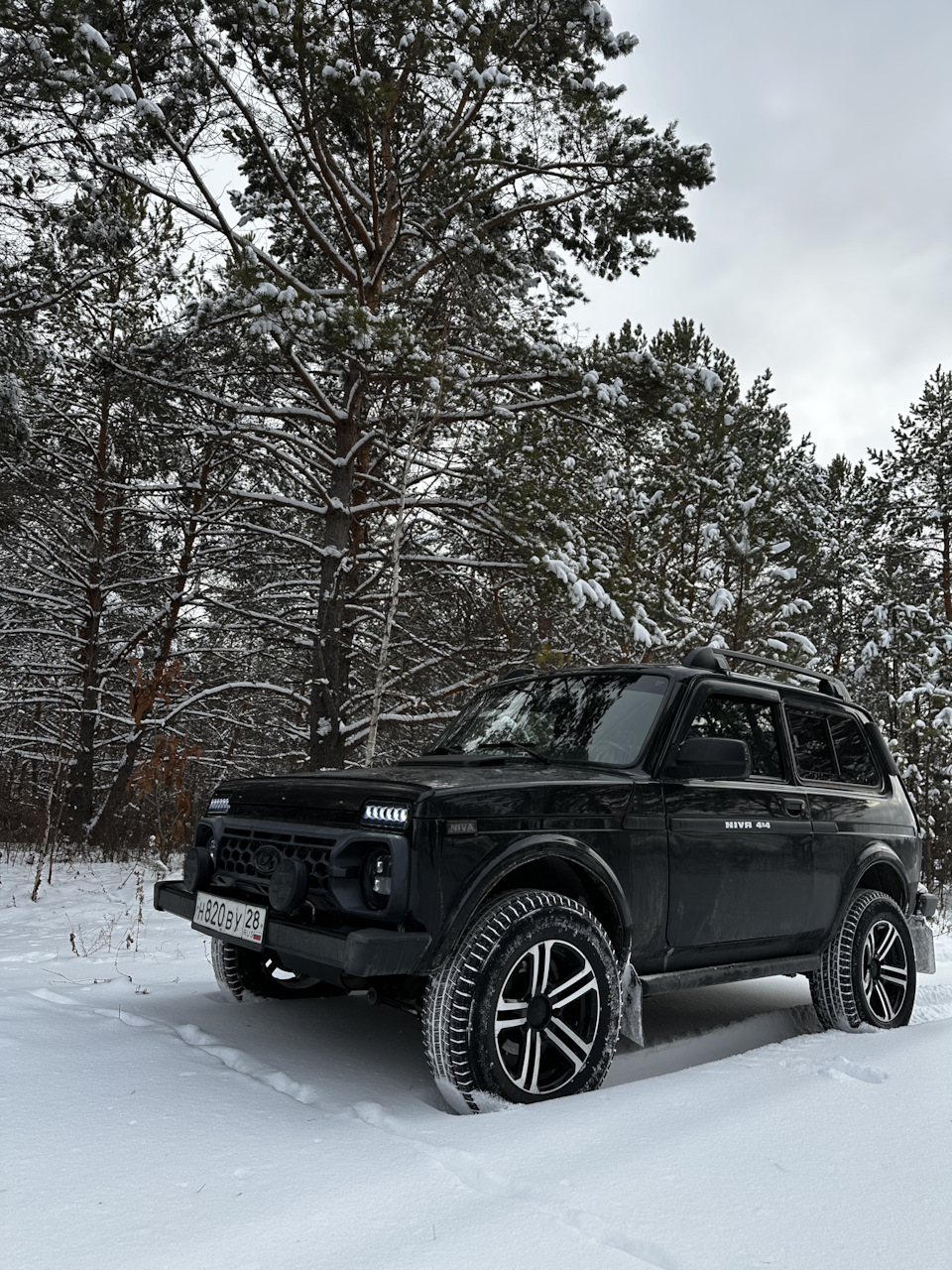 Фото в бортжурнале Lada 4x4 3D