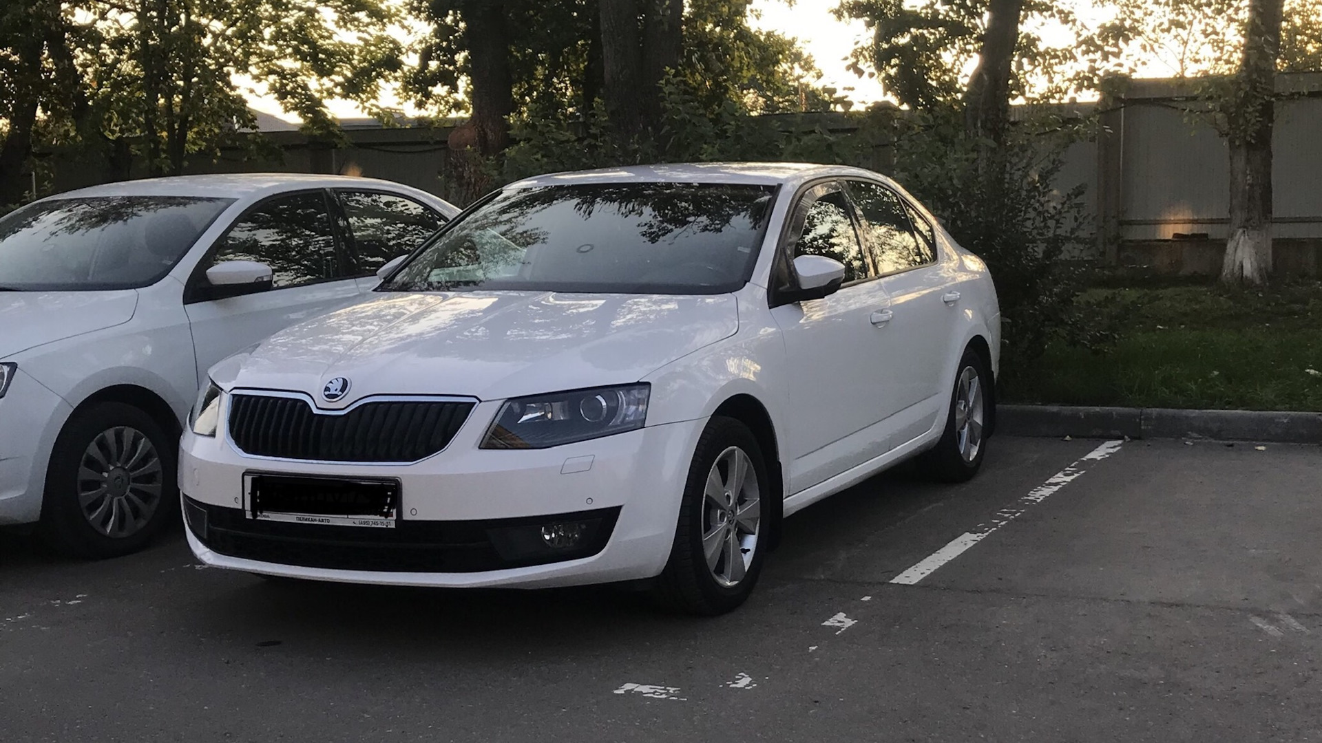 Skoda Octavia A7 Mk3 1.4 бензиновый 2013 | 1.4 dsg Шура на DRIVE2