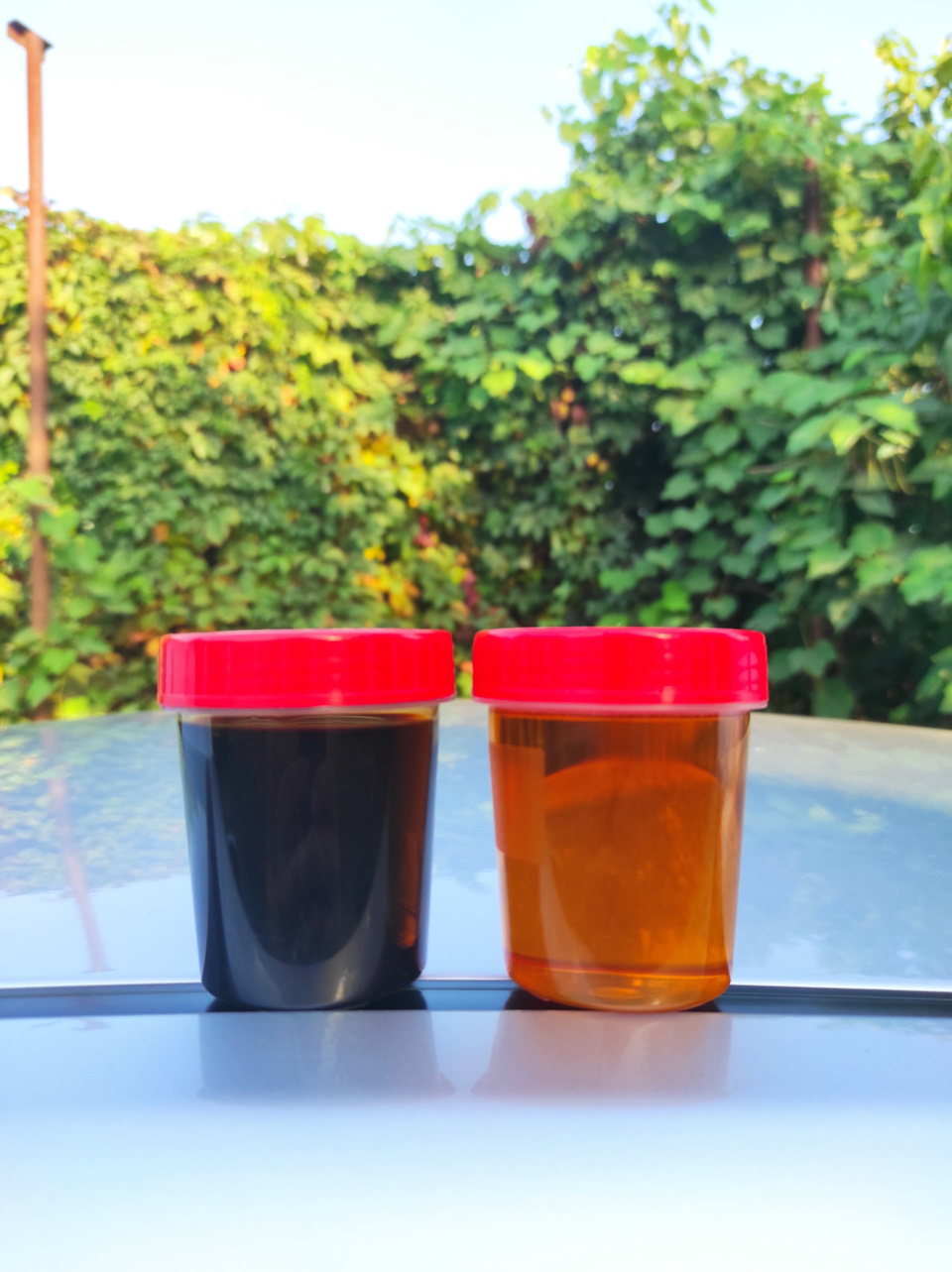 Слева старое, справа новое. — KIA Cerato (2G)