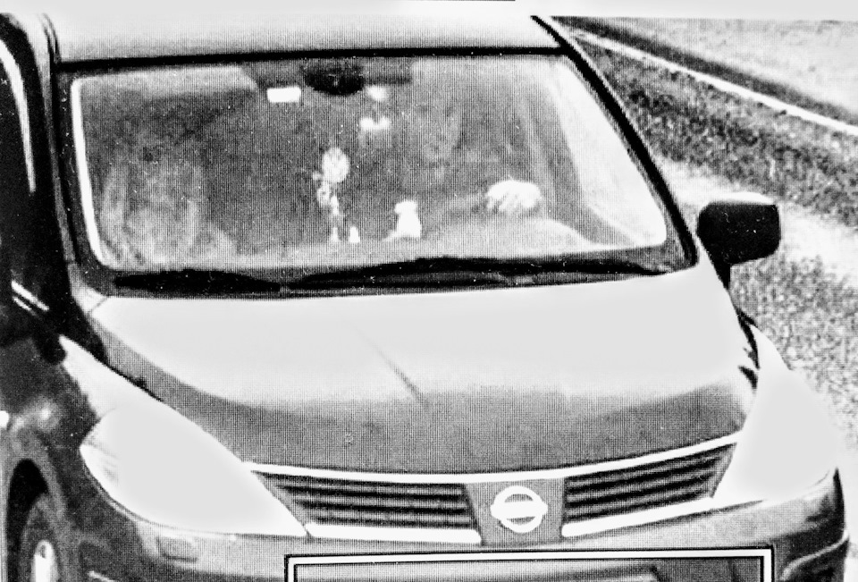 Первый и единственный… — Nissan Tiida (1G), 1,6 л, 2008 года ...