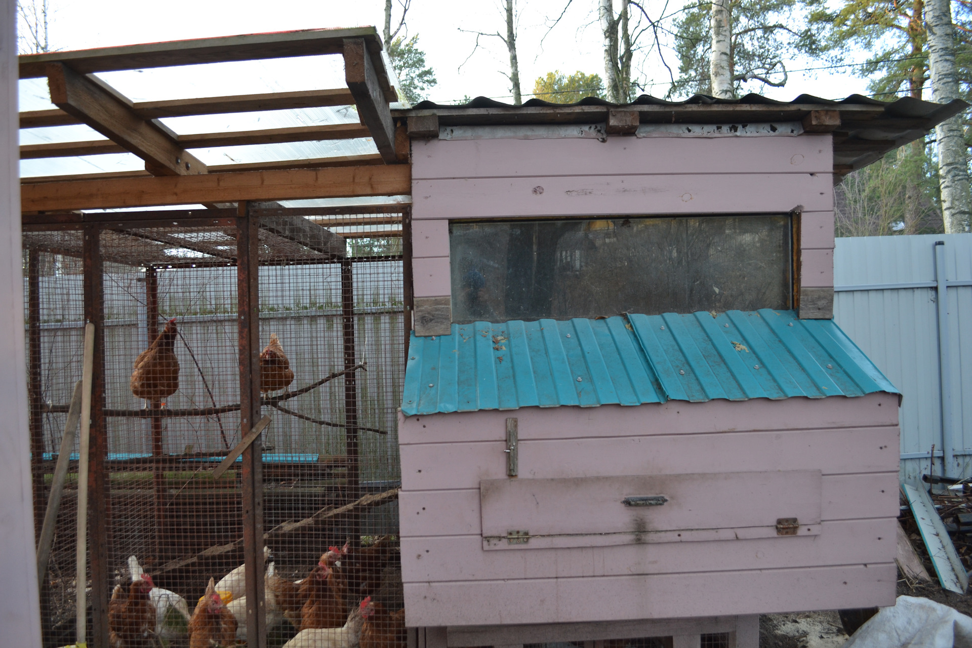 Курятник Бытовка Зимний Купить