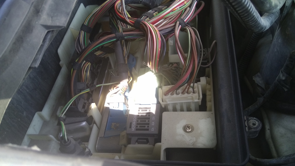 Фото в бортжурнале BMW X5 (E53)