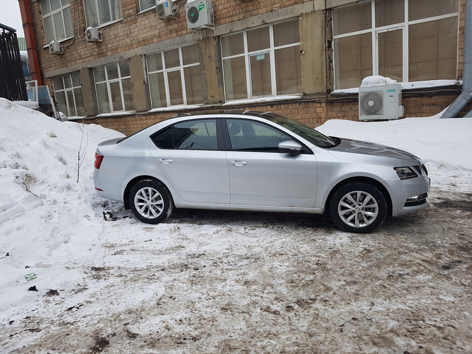 Фото в бортжурнале Skoda Octavia A7 Mk3