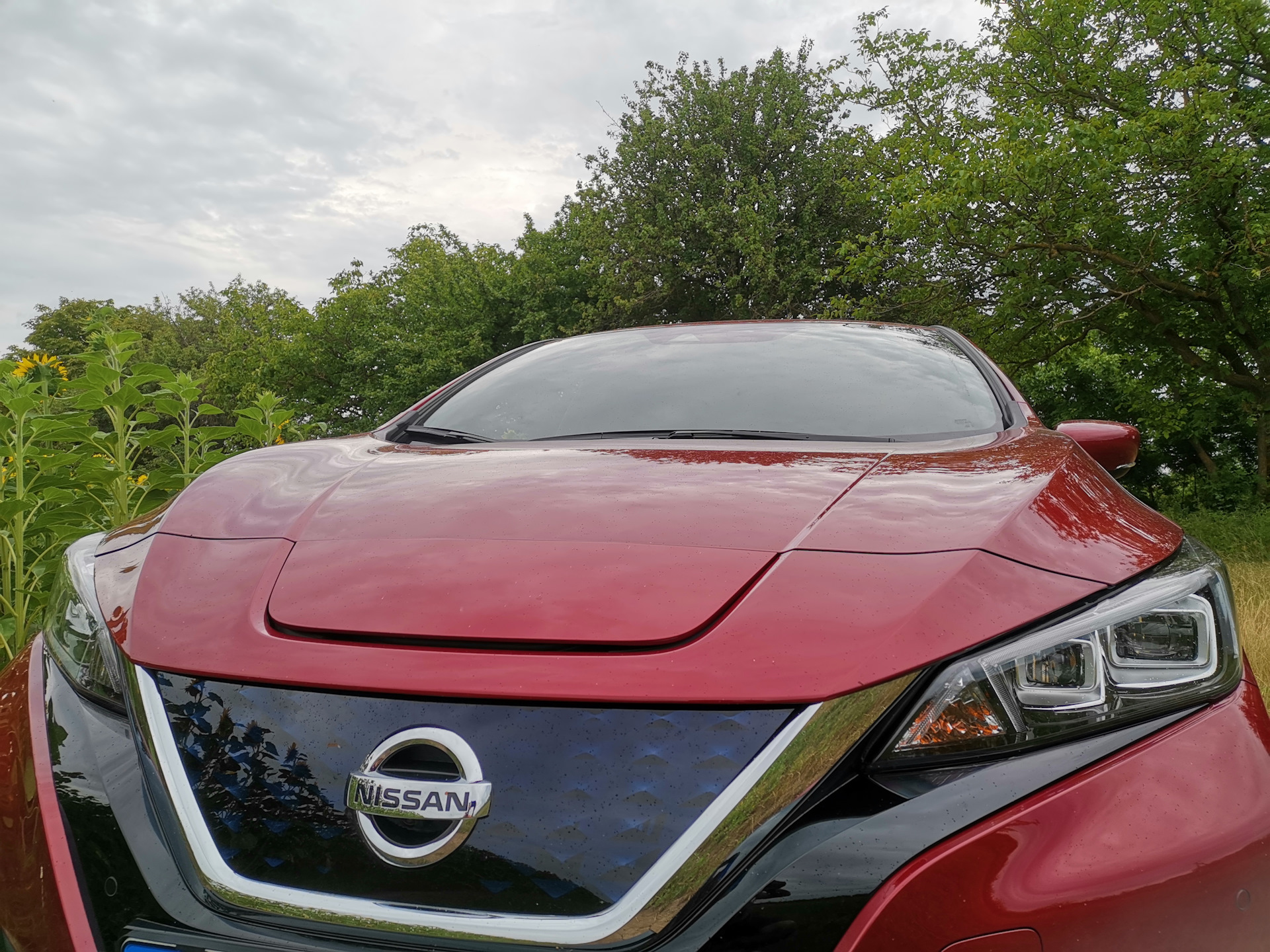 Nissan Leaf ze1. Стекло лобовое Ниссан лиф ze1. Ze1. Картинки Nissan Leaf ze1 с дефлектором на капоте.