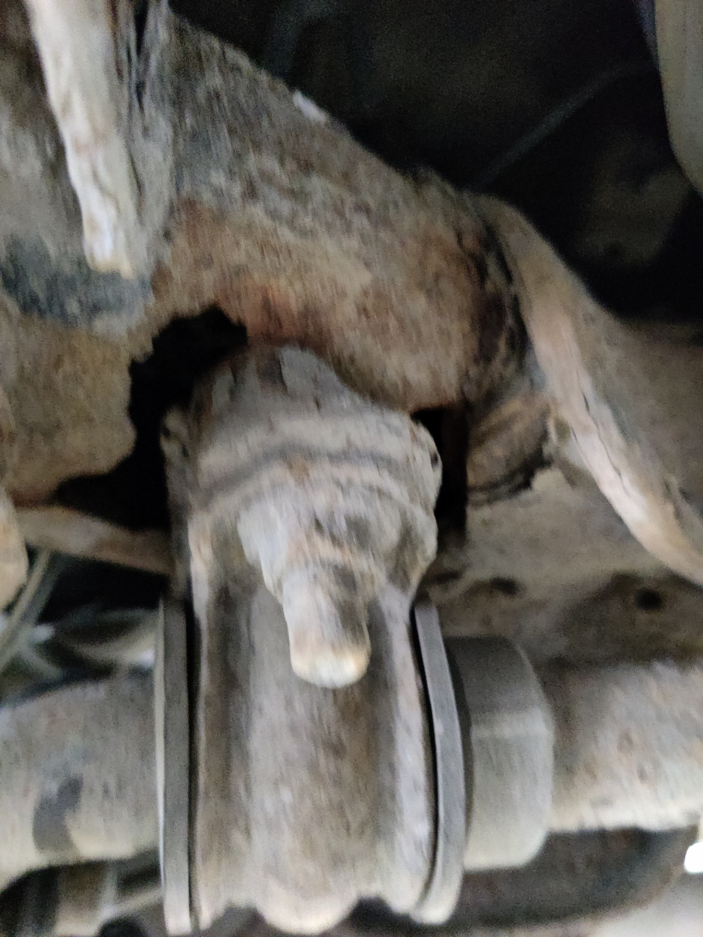 Замена задней подвески — Nissan Teana (J31), 2,3 л, 2006 года | визит ...