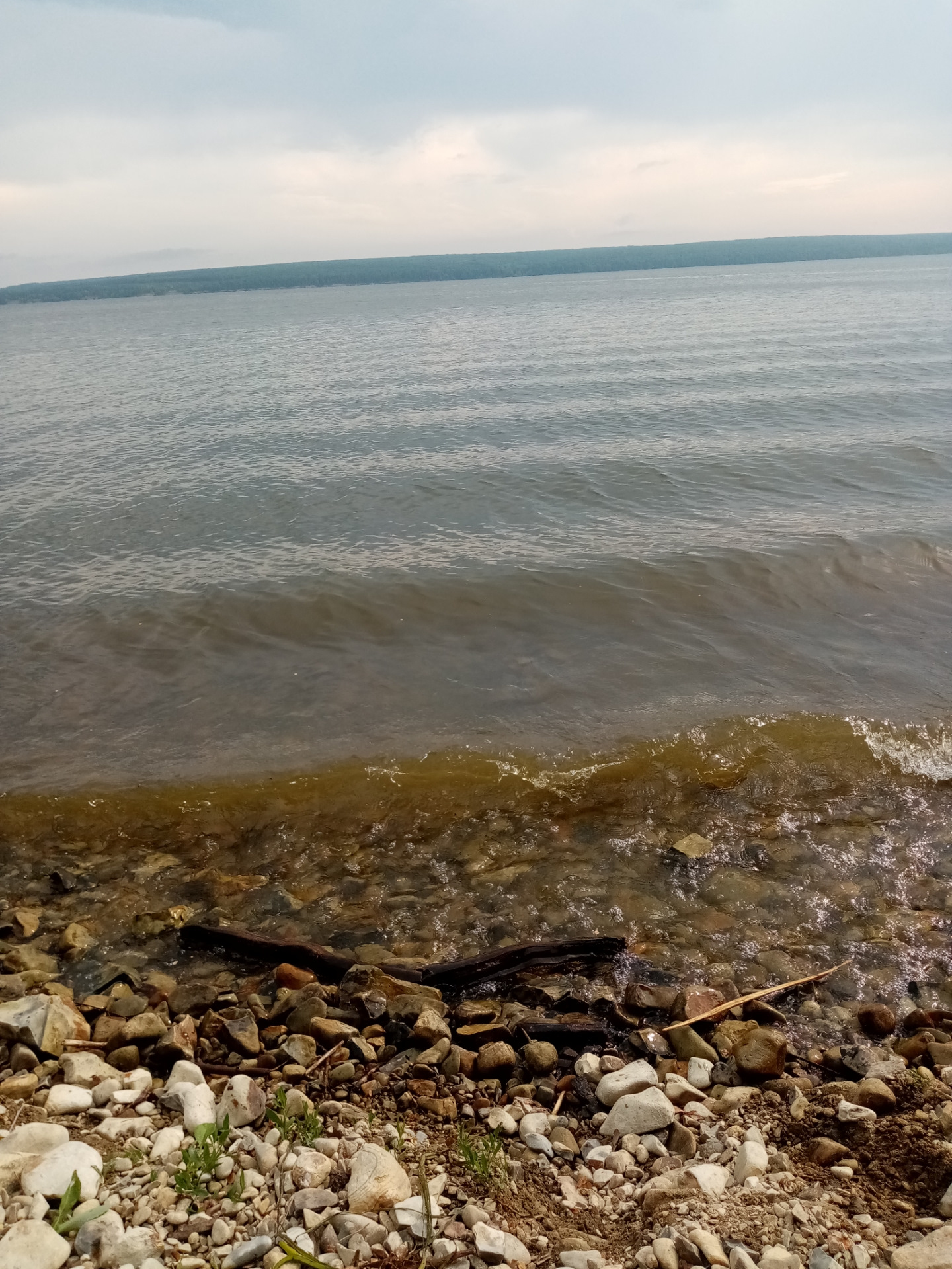 Саранск Сурское водохранилище