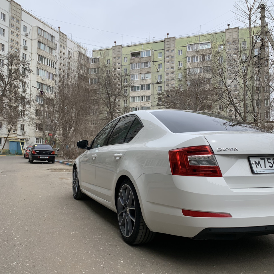 Защита поддона картера, какую ставить? — Skoda Octavia A7 Mk3, 1,4 л, 2015  года | запчасти | DRIVE2