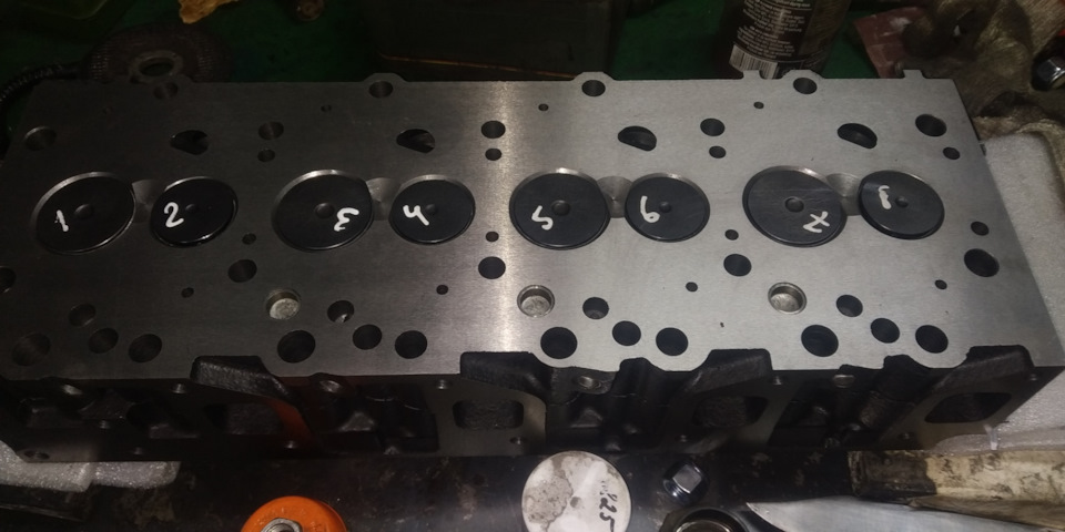 Замена лампы дневного ходового огня — Audi Allroad (C6), 2,7 л, 2007 ...