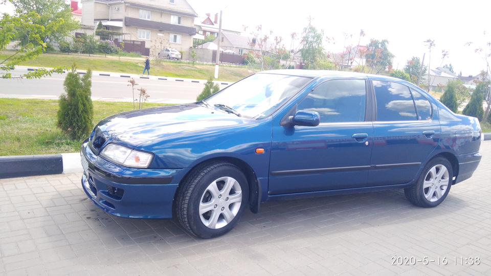 Лобовое ниссан примера р11. Nissan Camino p11. Ниссан премьера р11 тюнинг. Ниссан примера синий. Ниссан примера синего цвета.