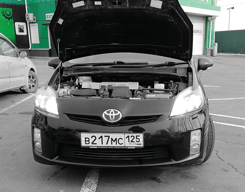 Дальний свет из жёлтого в белый — Toyota Prius (30), 1,8 л, 2010 года ...