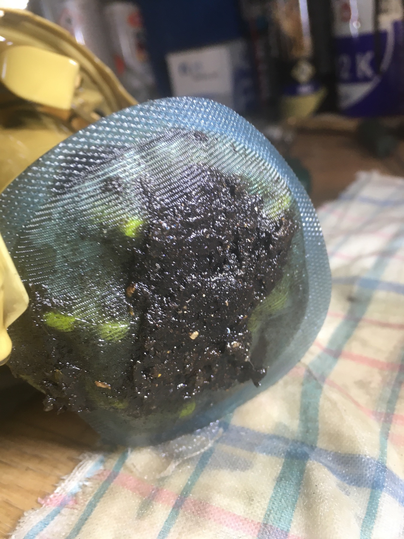 Чистка заборника в баке — Skoda Octavia A5 Mk2, 1,9 л, 2005 года ...