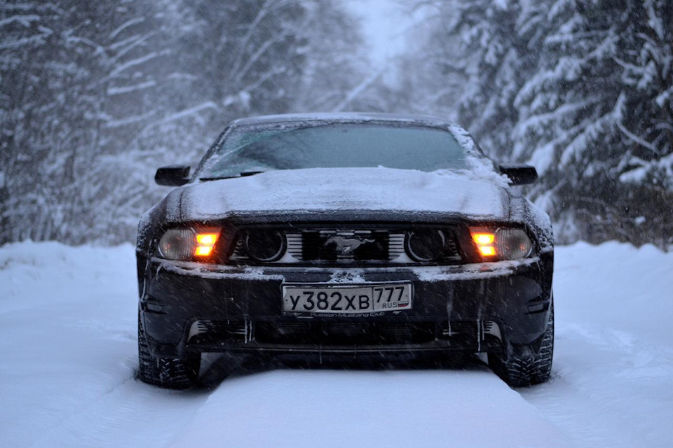 Ford Mustang 2013 лес зимний