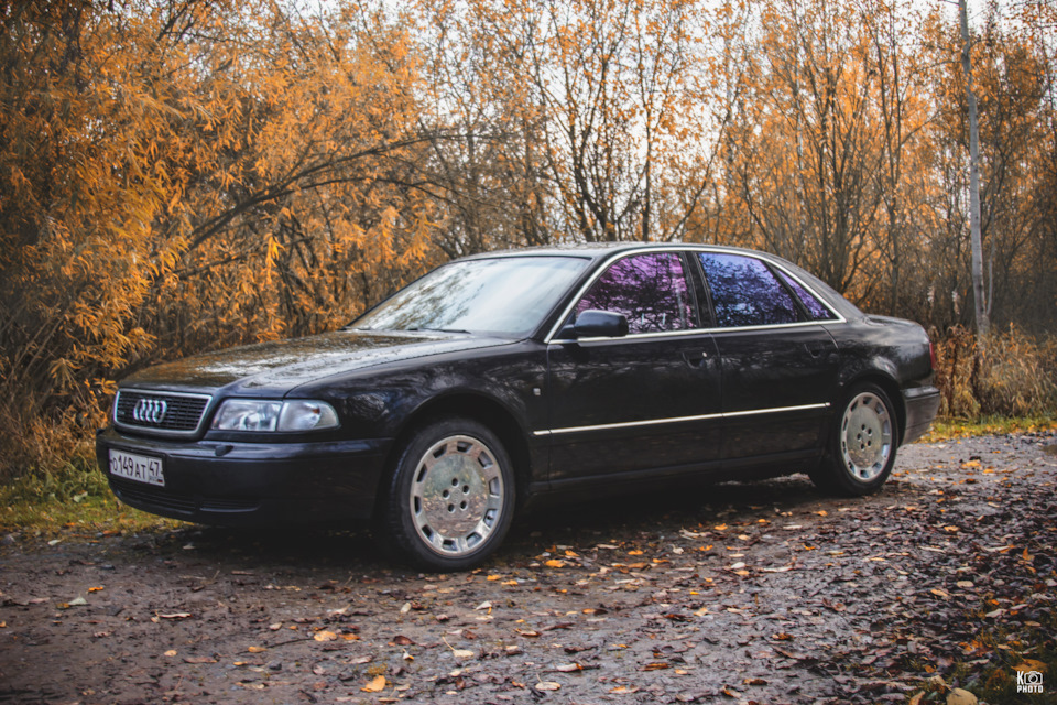 Фото в бортжурнале Audi A8 (D2)