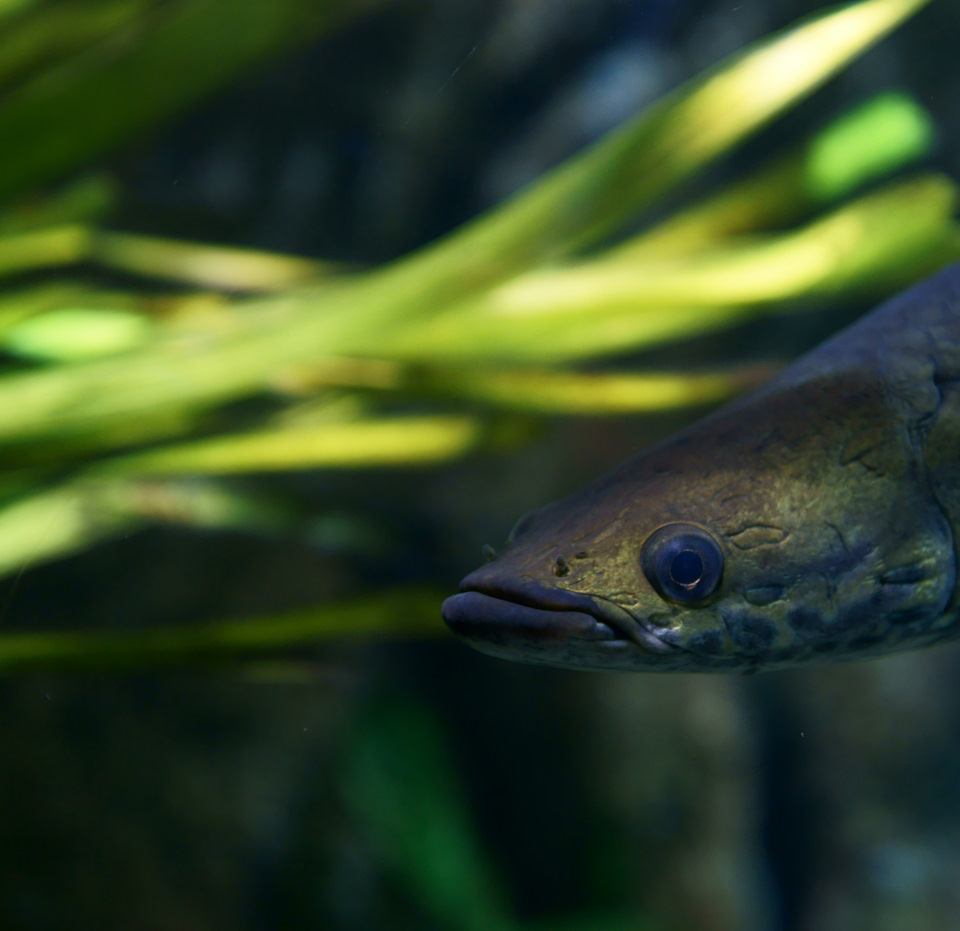 Замена сальника в заднем редукторе BMW X3 E83 — DRIVE2