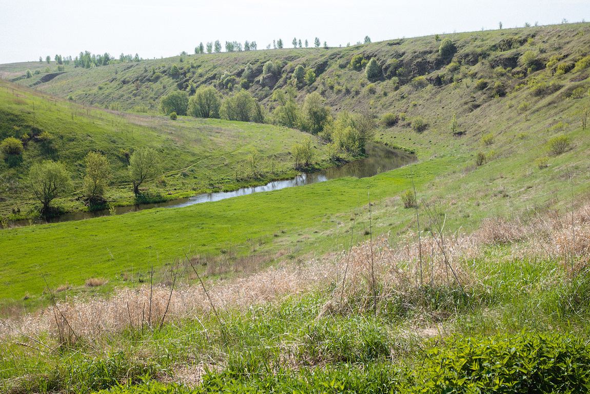 Аргамач пальна археологический парк фото