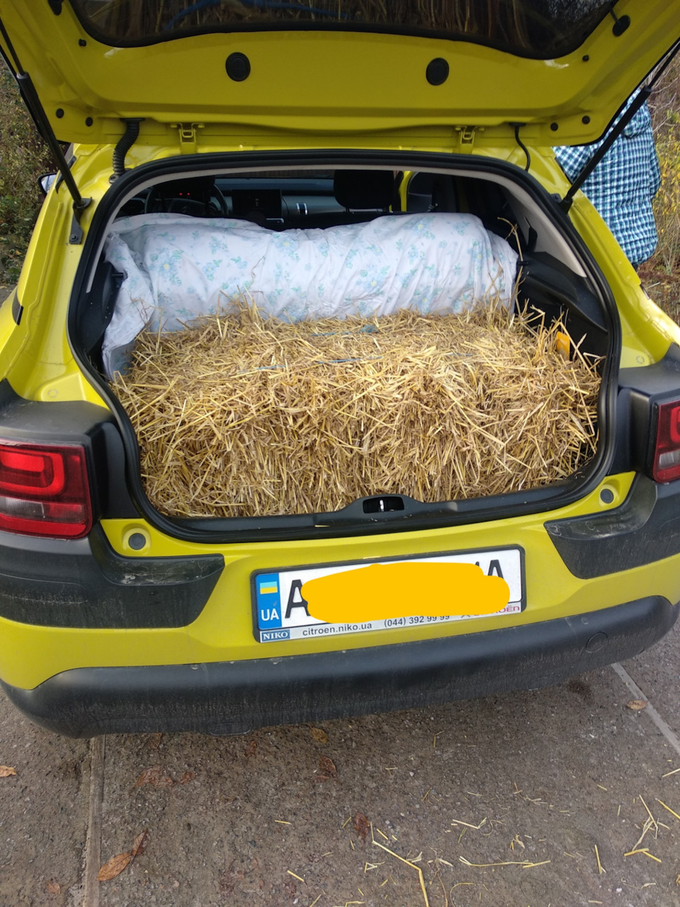 В машине не курить! Или что найти в женской сумочке (багажнике (: ) —  Citroen C4 Cactus, 1,6 л, 2015 года | просто так | DRIVE2