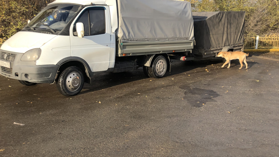 Троит двигатель на холостых — ГАЗ Газель, 2,4 л, 2007 года | поломка ...