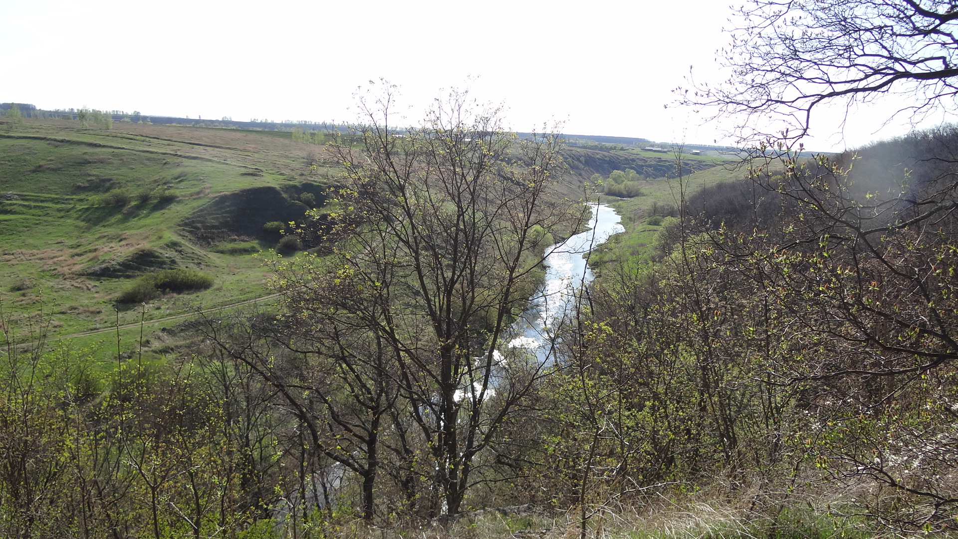 парк аргамач липецкая