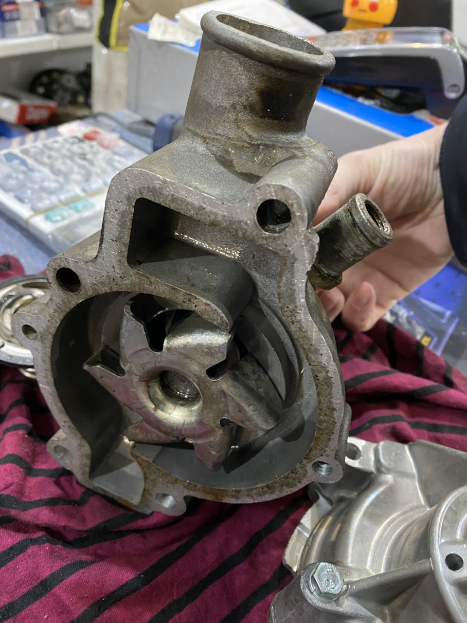 ДУЕТ ХОЛОДНЫМ ГАЗЕЛЬ БИЗНЕС — ГАЗ Газель, 2,7 л, 2019 года | визит на ...