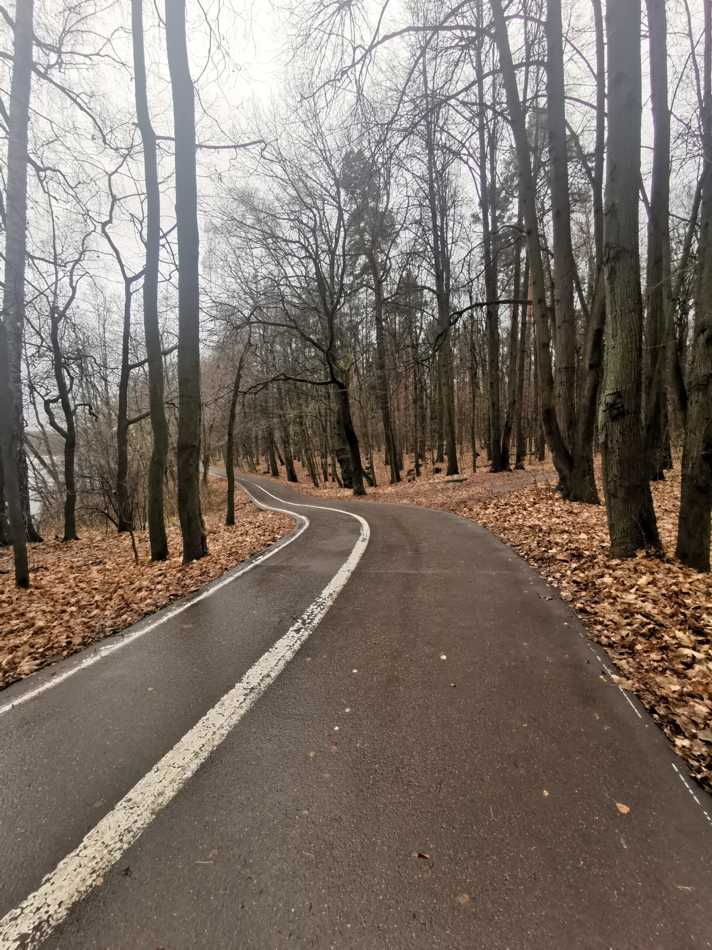 Поставили сигнализацию с автозапуском — Mazda 3 (1G) BK, 1,6 л, 2008 ...