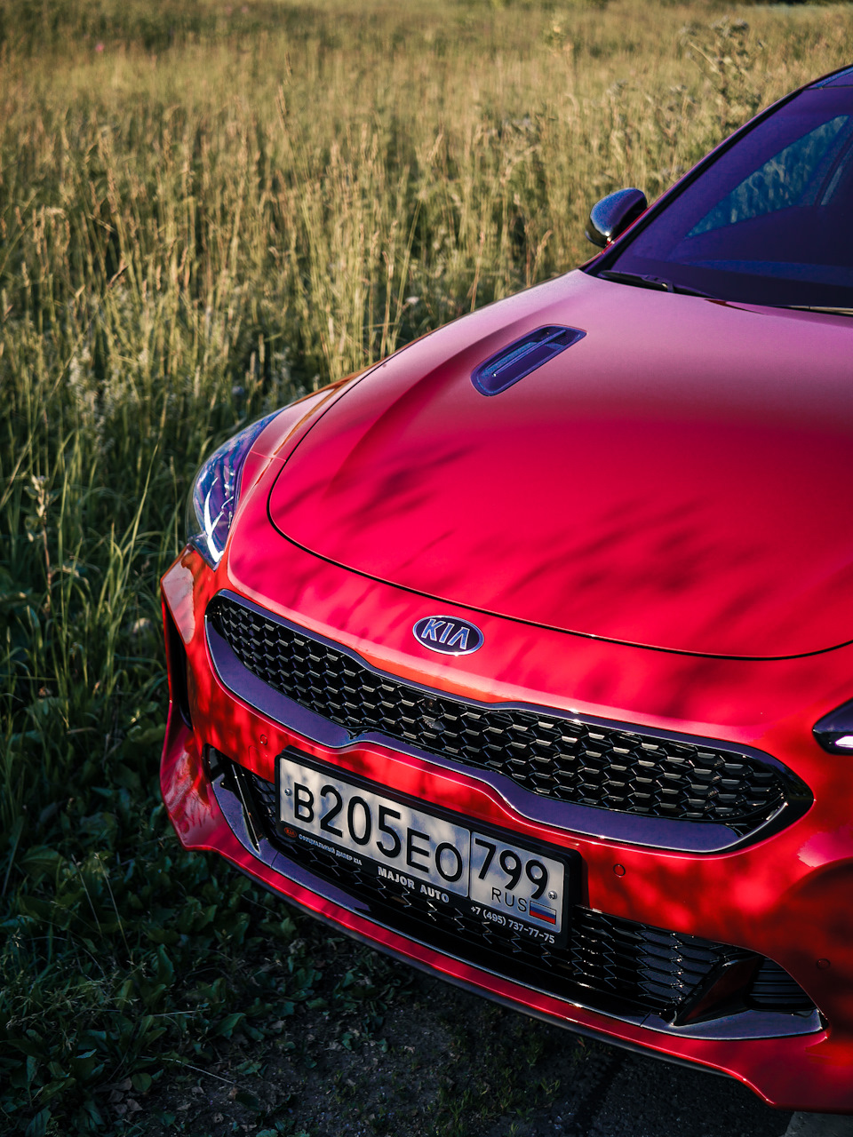 Kia Stinger РІ С‚РµРјРЅРѕС‚Рµ