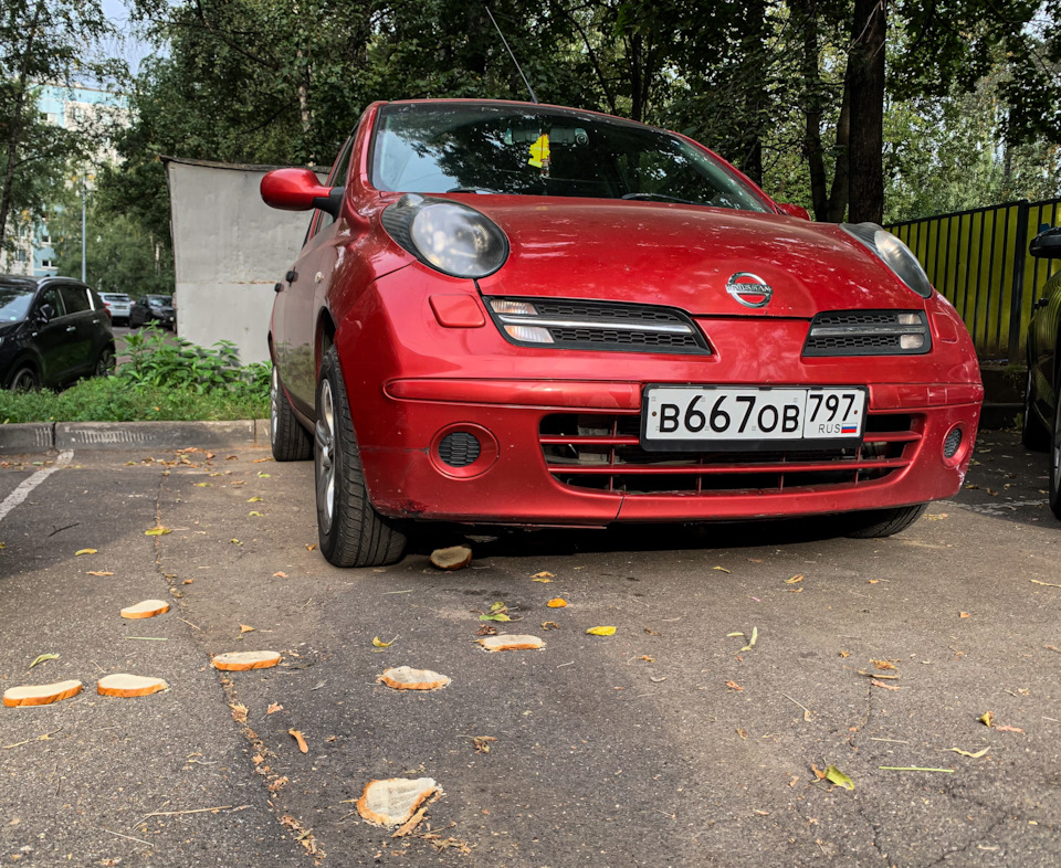 Обслужил «Микрика» — Nissan Micra (K12), 1,2 л., 2007 года | плановое ...