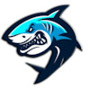 Раскрутка сайта team shark. Акула. Акула лого. Логотип команд с акулой. Герб с акулой.