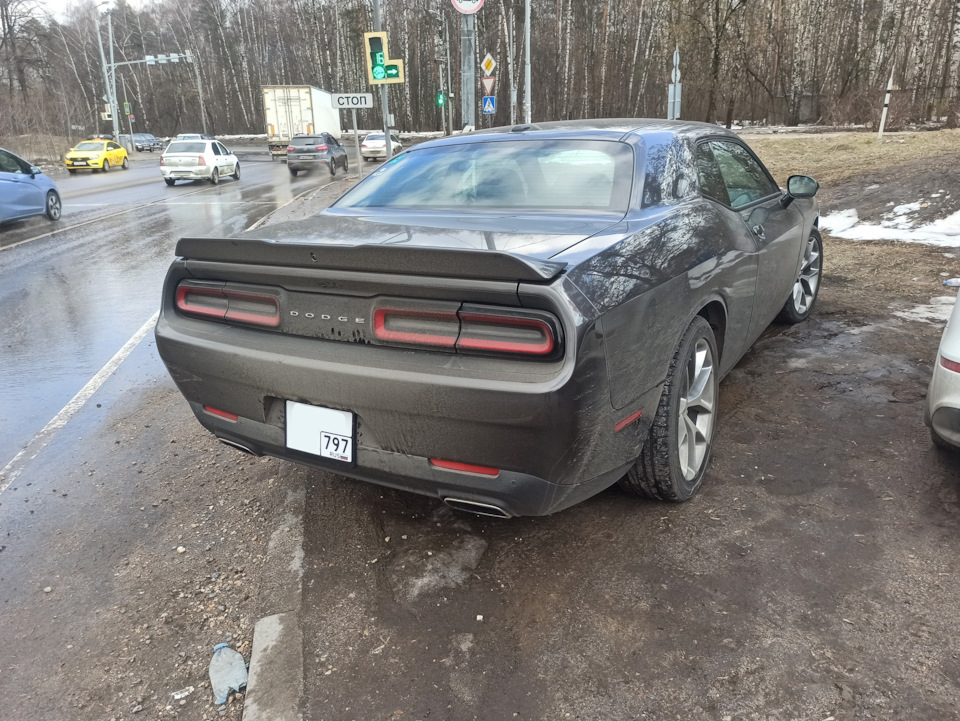 Dodge Challenger сзади