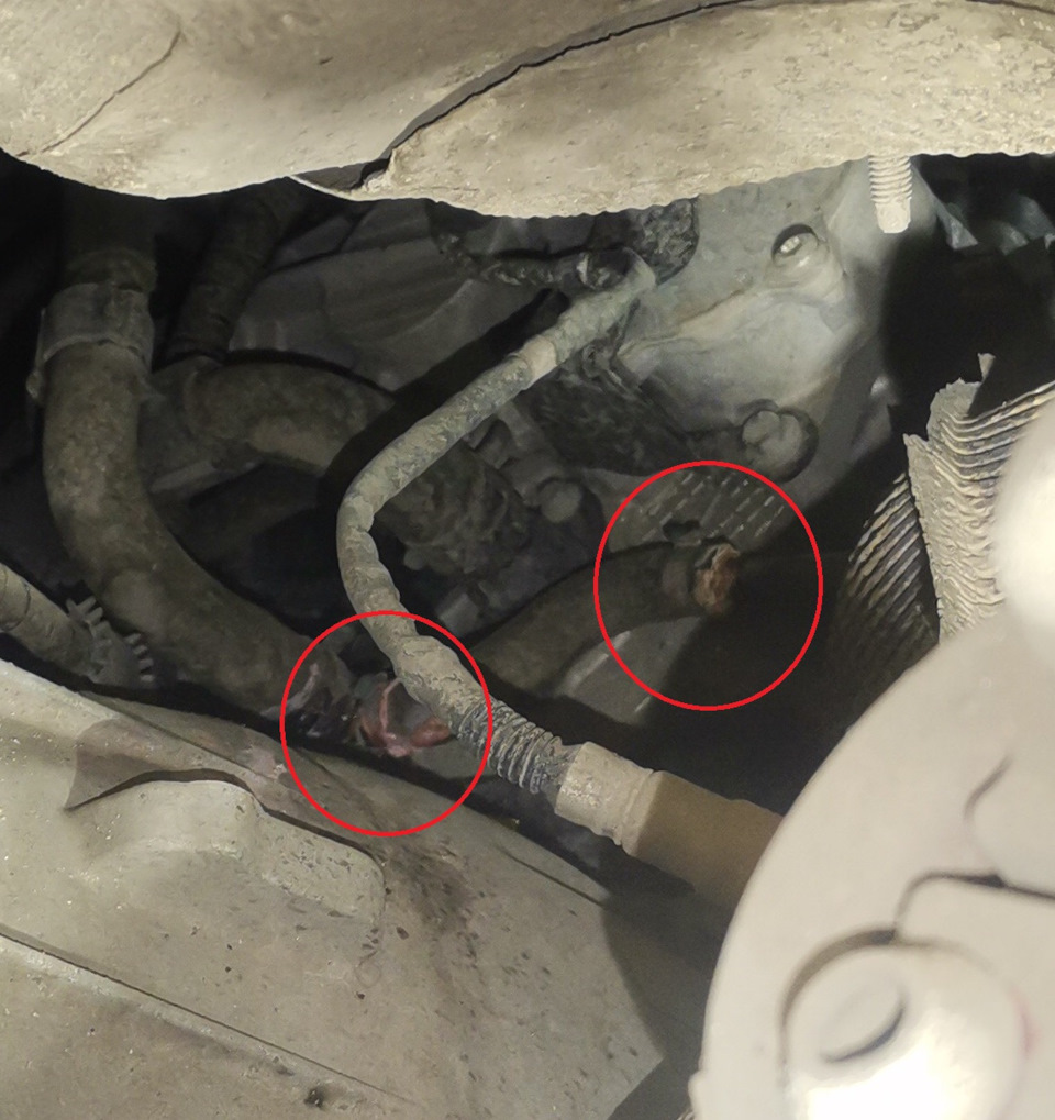 Перед заменой, вид с низу — Tank 300