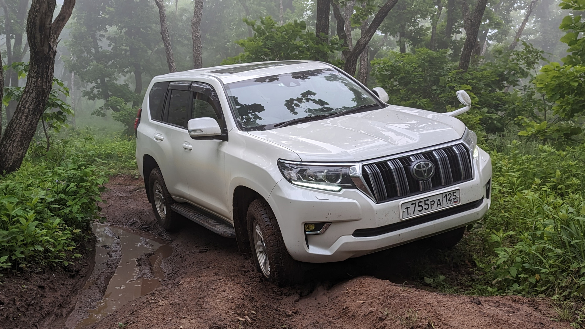 Toyota Land Cruiser Prado 150-series 2.8 дизельный 2019 | 2.8 Diesel JDM на  DRIVE2