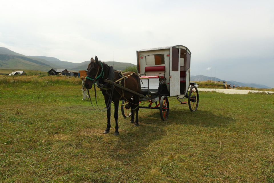 q4aq3P6v8AuR9TKYhYNxUHylVBs 960 Матросская каменная чаша как проехать