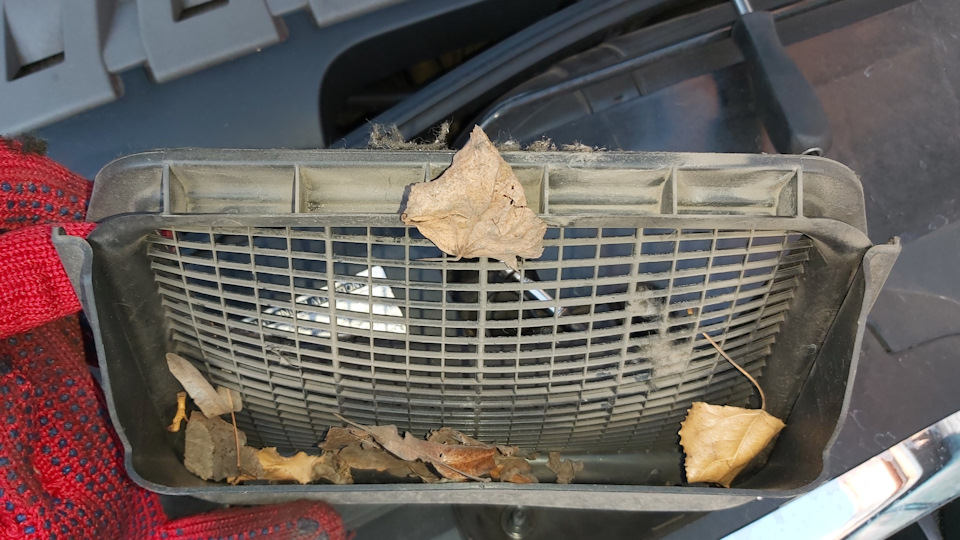 Фото в бортжурнале SEAT Altea XL