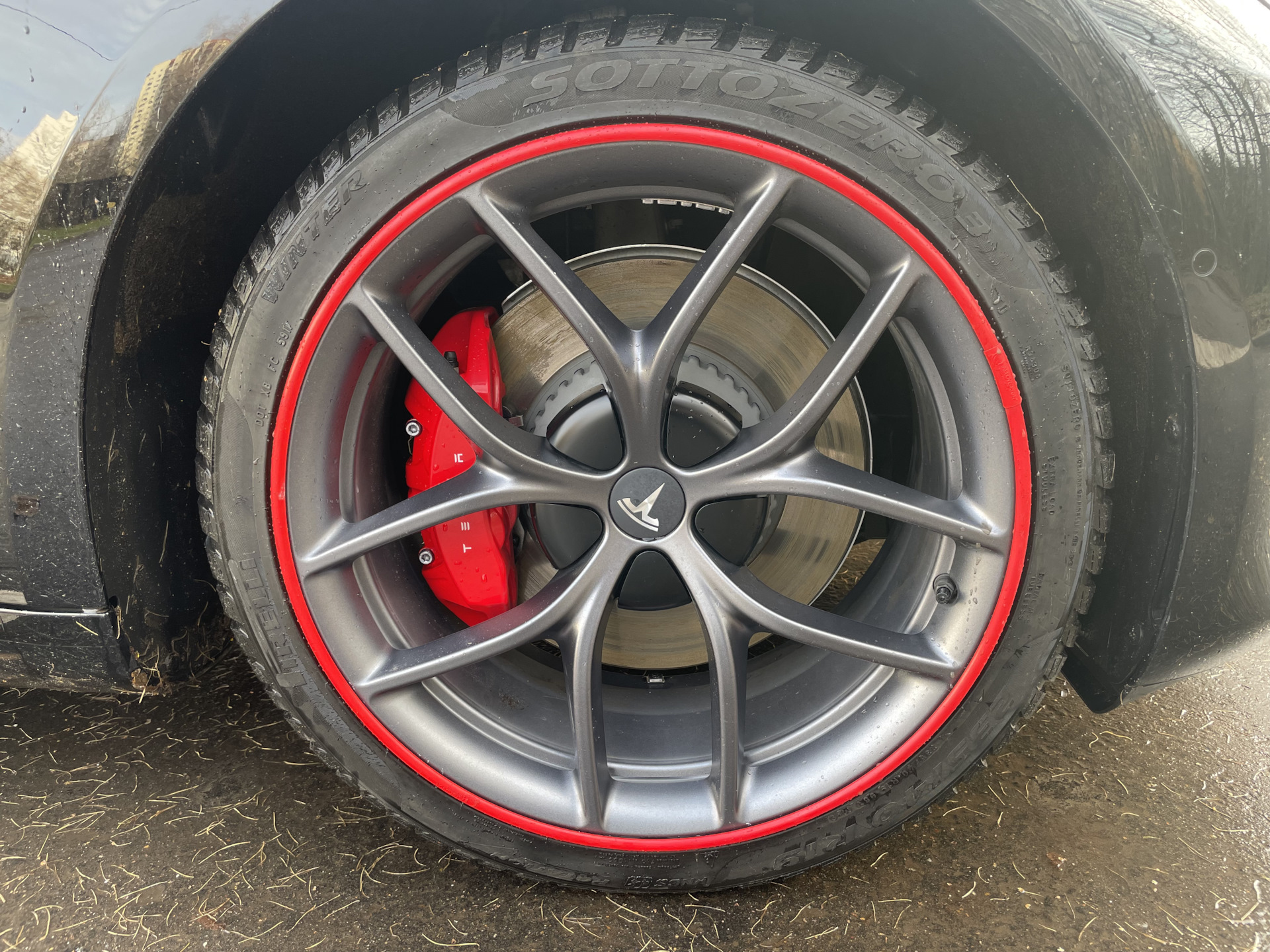 Защита колесных дисков от бордюрки aka хупперы — Tesla Model 3 (1G ...