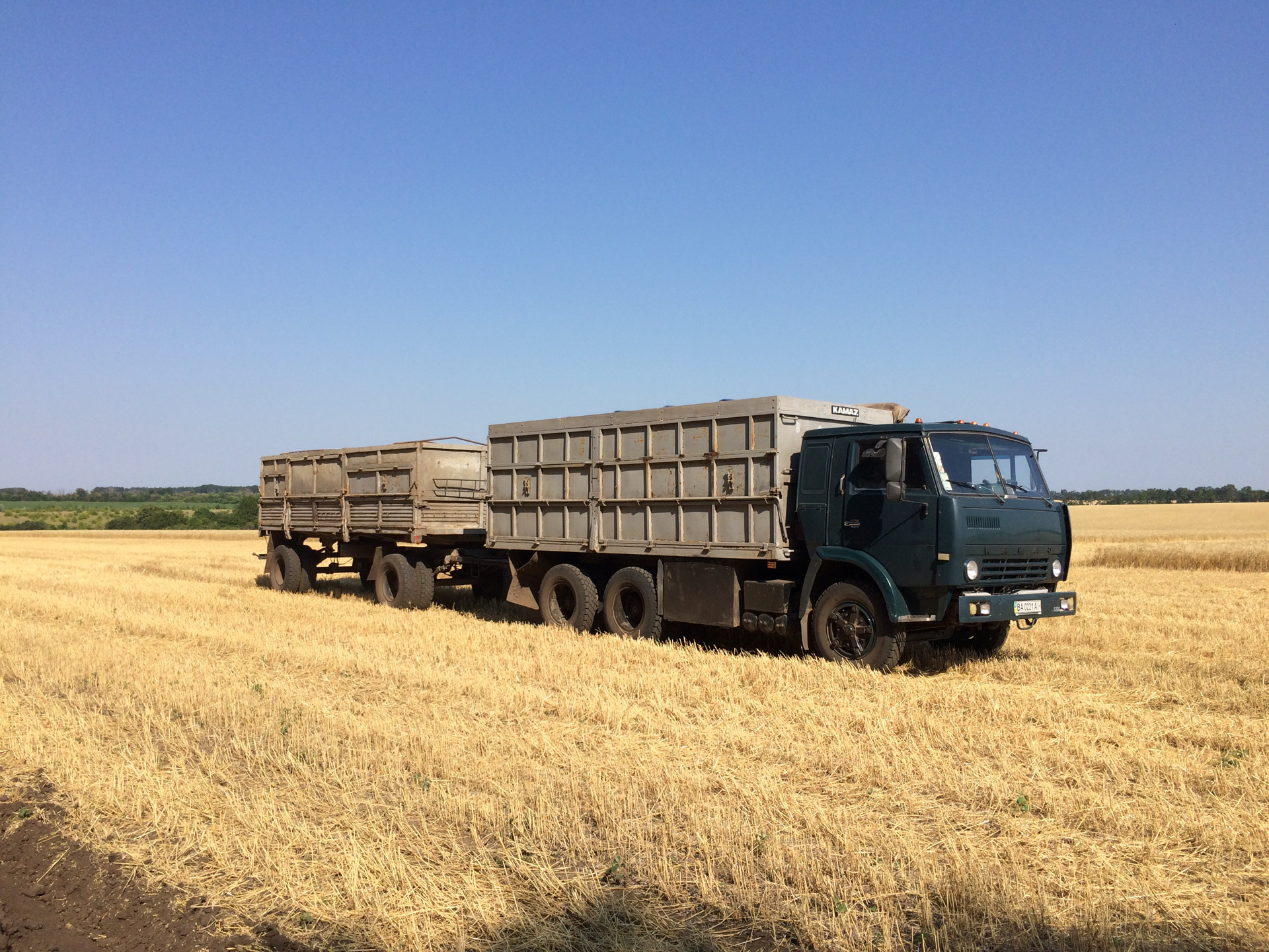 Поиск зерновозов для перевозок. КАМАЗ 5320 на уборке силоса. МАЗ 6303 зерновоз. КАМАЗ 5320 бортовой зерновоз. КАМАЗ 55102 зерновоз.