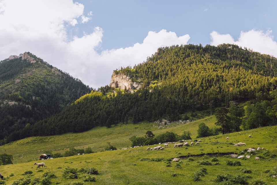 Река маруха карачаево черкессия что означает название. qAkF9vIt4ZA9xw4zZekGjXQMln8 960. Река маруха карачаево черкессия что означает название фото. Река маруха карачаево черкессия что означает название-qAkF9vIt4ZA9xw4zZekGjXQMln8 960. картинка Река маруха карачаево черкессия что означает название. картинка qAkF9vIt4ZA9xw4zZekGjXQMln8 960. Река Маруха протекает по территории туристического района Архыза в Карачаево-Черкесской республике. Река маруха карачаево черкессия что означает название. qAkF9vIt4ZA9xw4zZekGjXQMln8 960. Река маруха карачаево черкессия что означает название фото. Река маруха карачаево черкессия что означает название-qAkF9vIt4ZA9xw4zZekGjXQMln8 960. картинка Река маруха карачаево черкессия что означает название. картинка qAkF9vIt4ZA9xw4zZekGjXQMln8 960. Река Маруха протекает по территории туристического района Архыза в Карачаево-Черкесской республике.