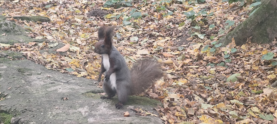 Фото в бортжурнале Mitsubishi Pajero (4G)