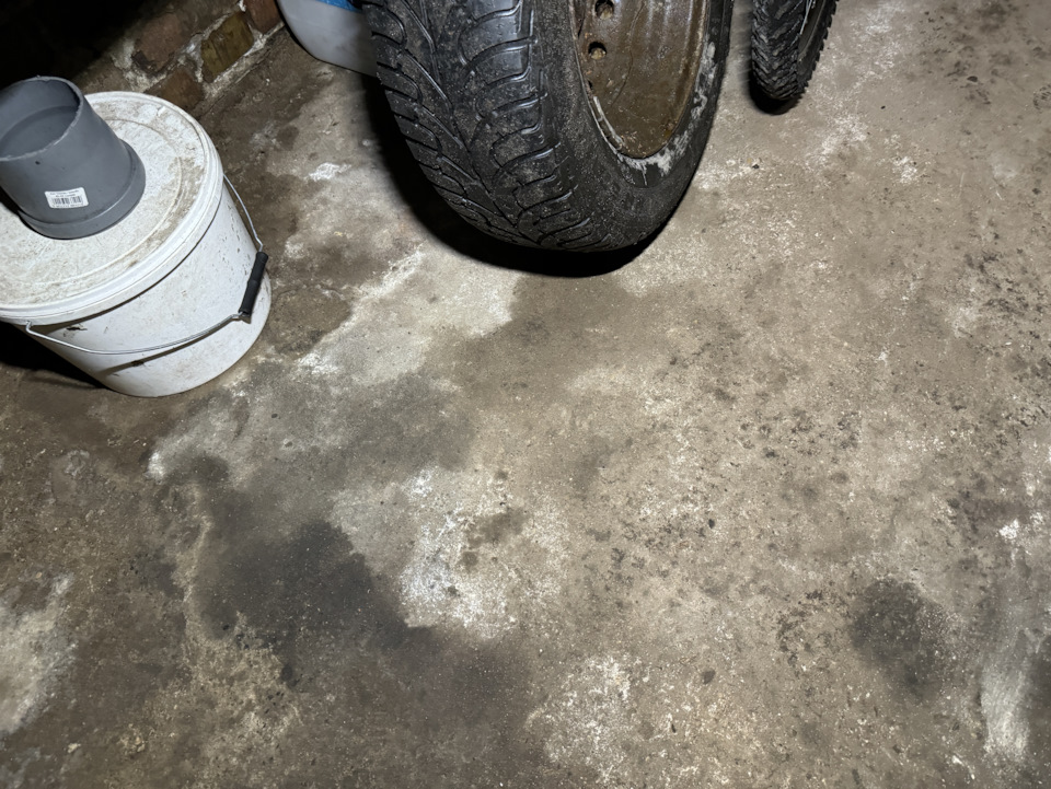 Как же правильно избавиться от сырости и плесени в подвале гаража? Как ...