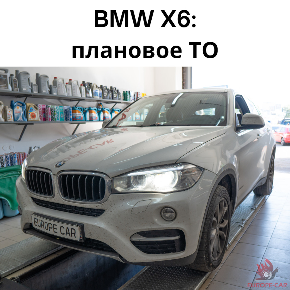 Плановое ТО BMW X6 — Europe-Car на DRIVE2