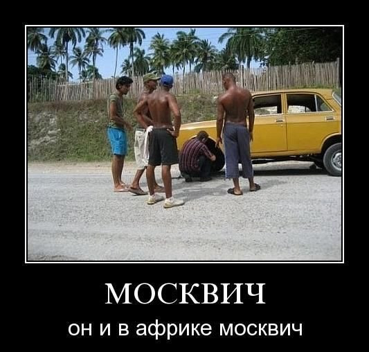 Москвичи прикольные картинки, высунутым языком