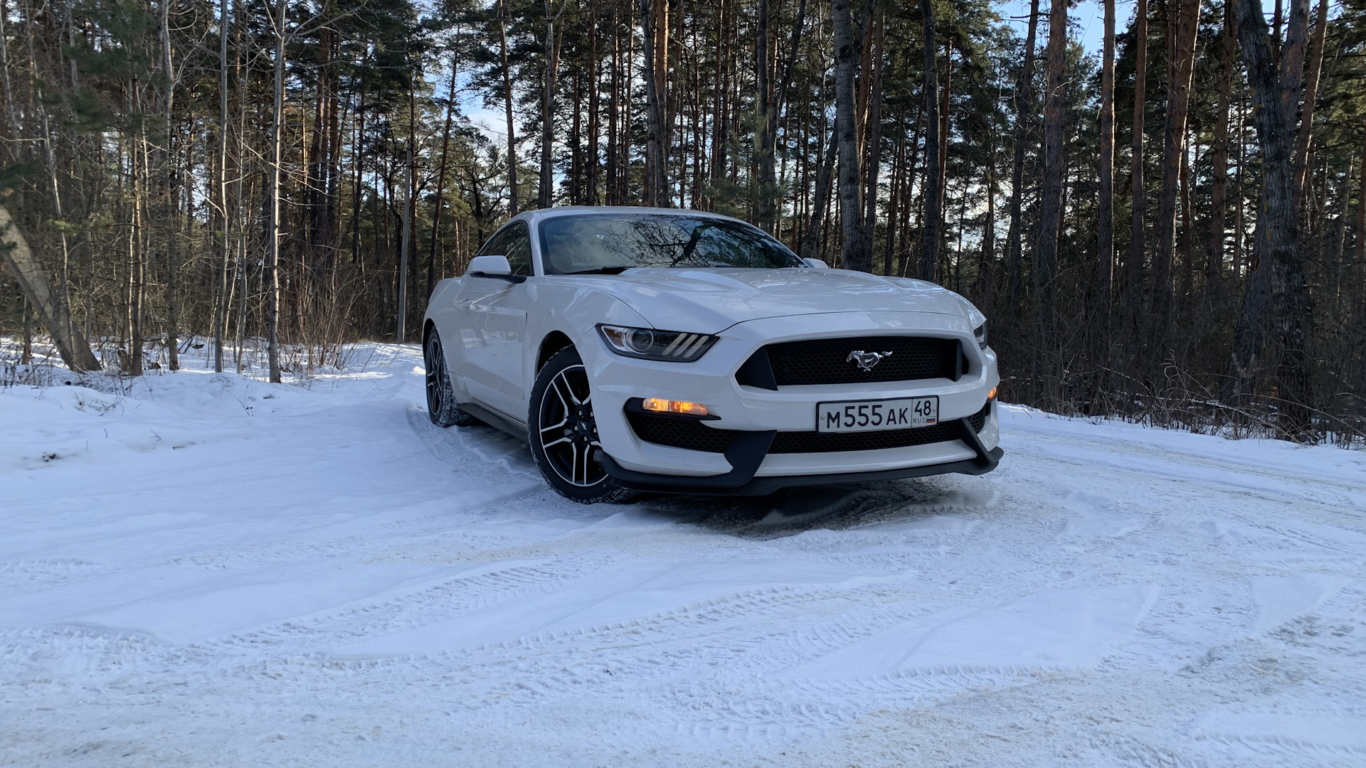 Ford Mustang (6G) 2.3 бензиновый 2017 | Белый-жемчуг на DRIVE2