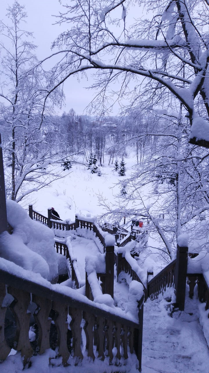 посещение родника в селе Радонеж — Renault Koleos (2G)