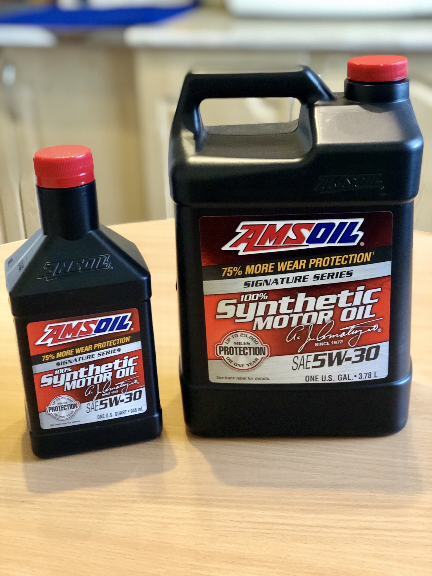 Amsoil v twin